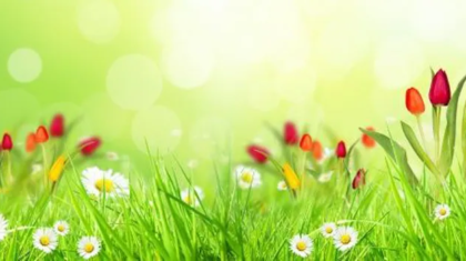 loi-kinh-trong-long-ban-tay